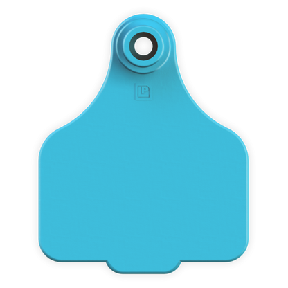 Medium Tag