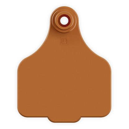 Medium Tag