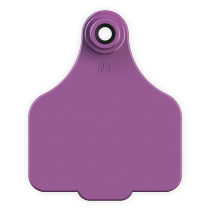 Medium Tag