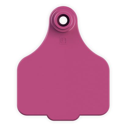Medium Tag