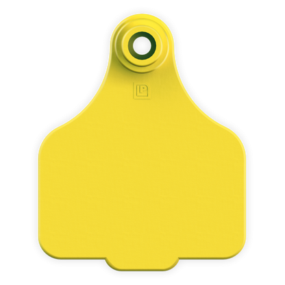 Medium Tag