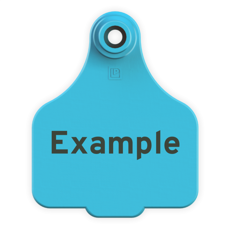 Medium Tag