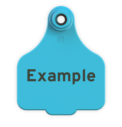 Medium Tag