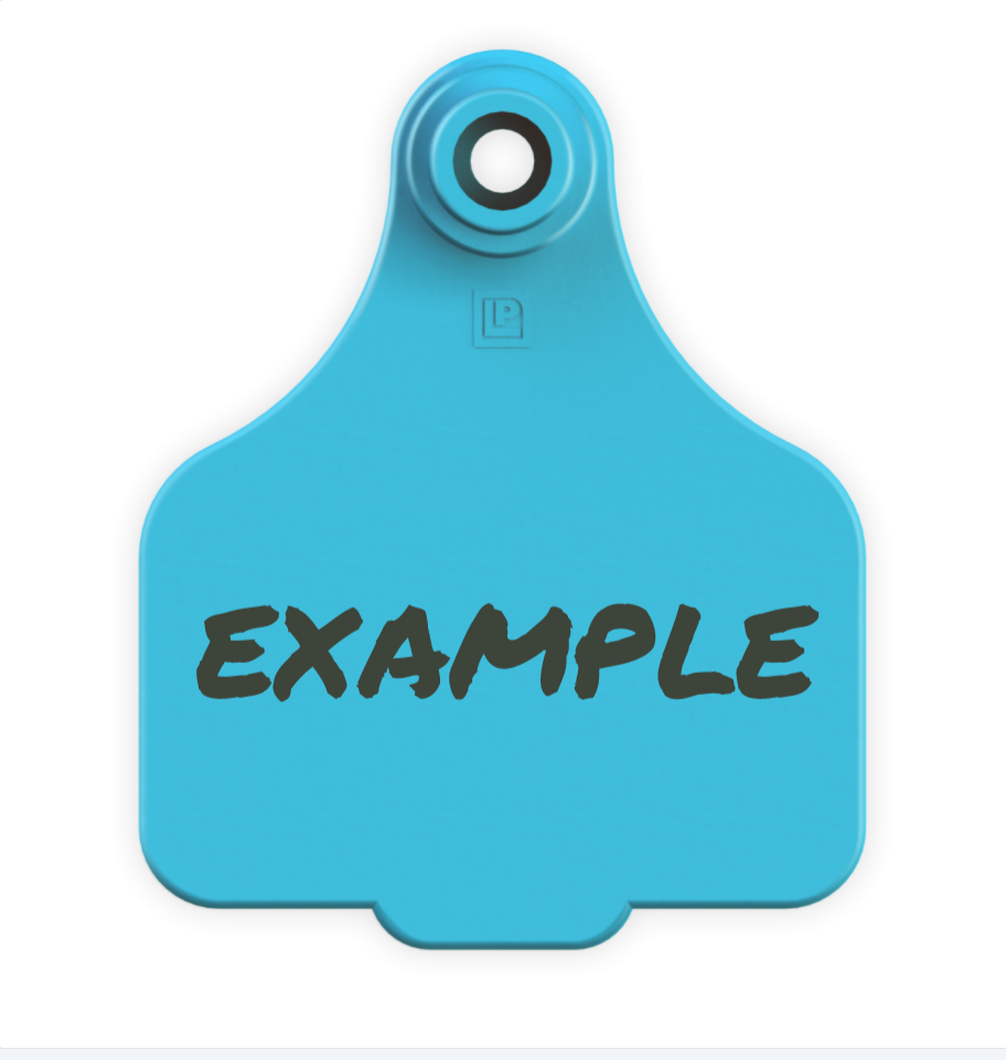 Medium Tag