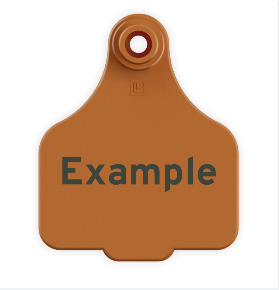 Medium Tag