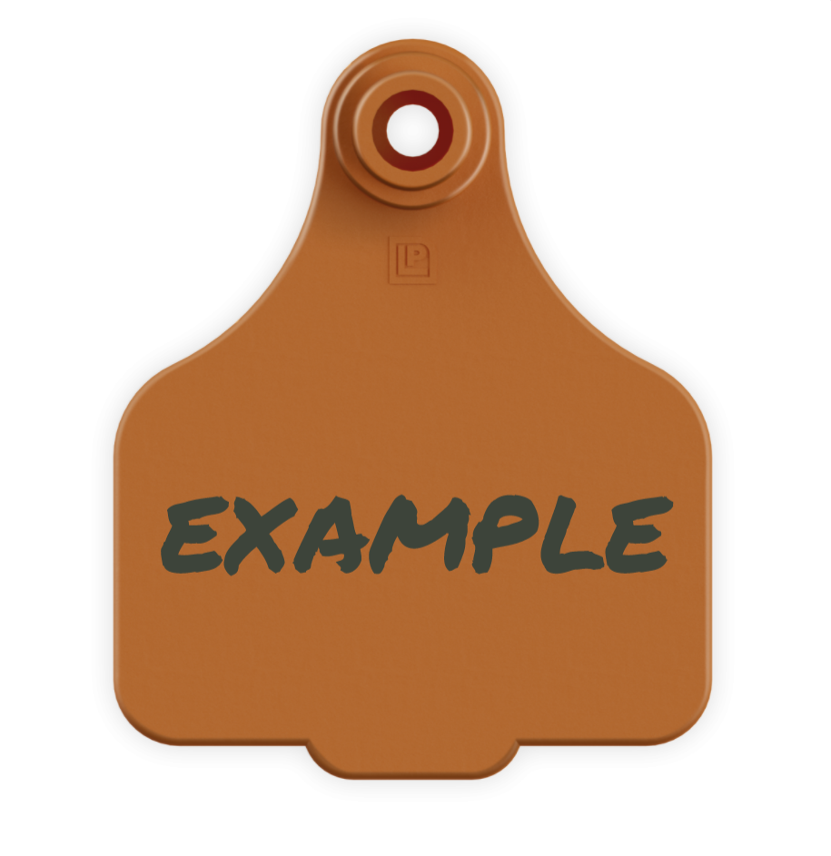 Medium Tag