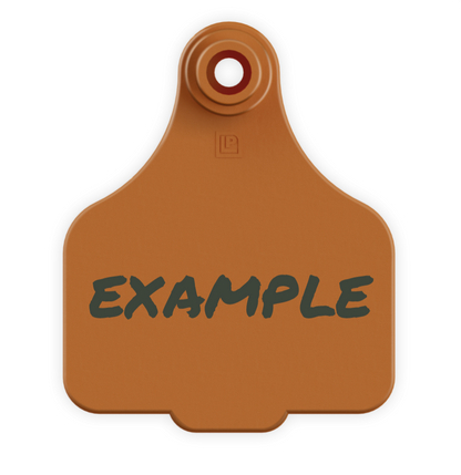 Medium Tag