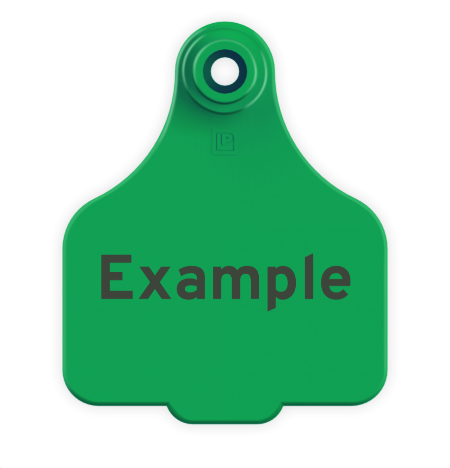 Medium Tag