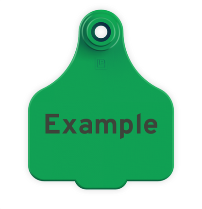 Medium Tag