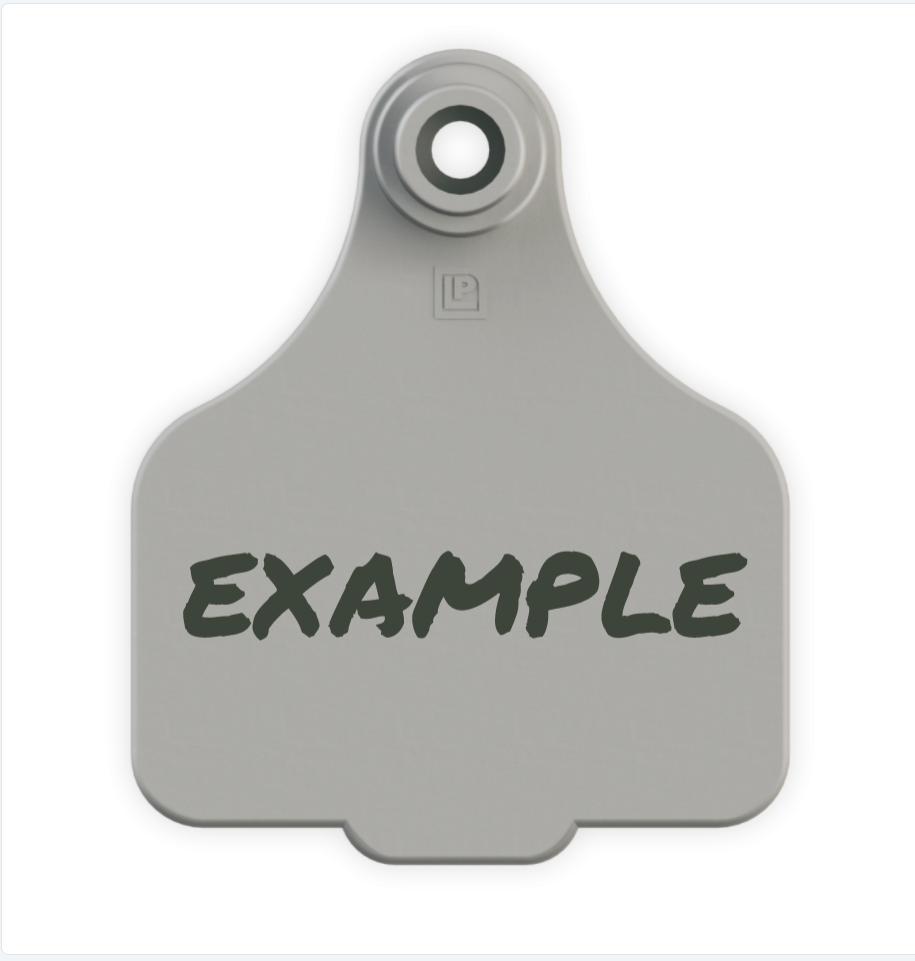 Medium Tag