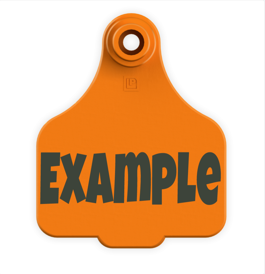 Medium Tag