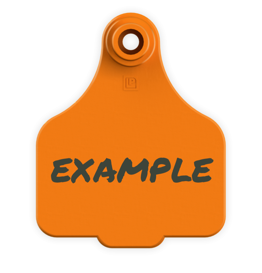 Medium Tag