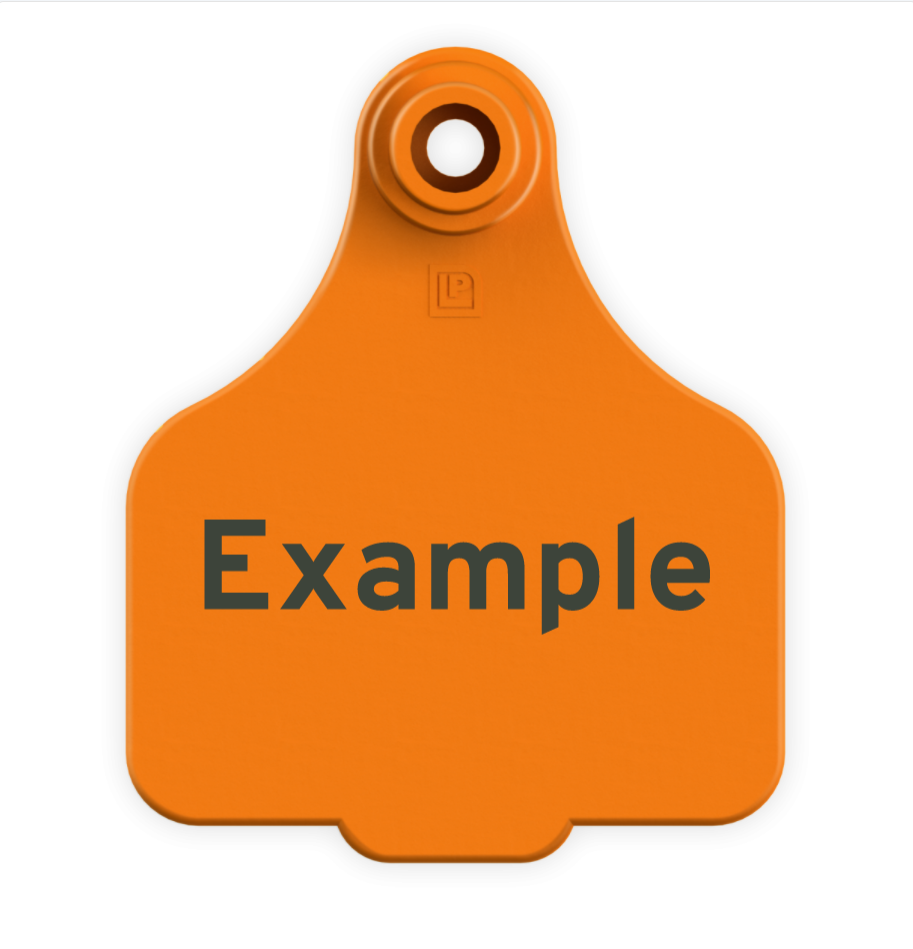 Medium Tag