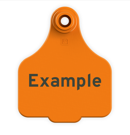 Medium Tag