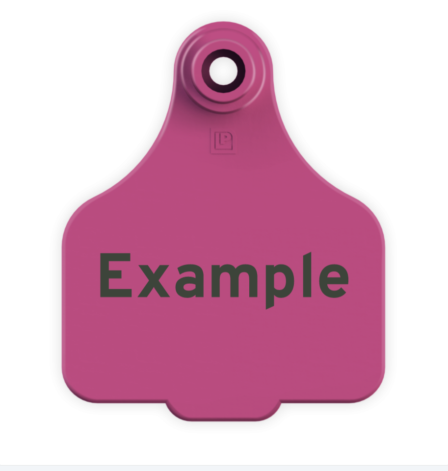 Medium Tag