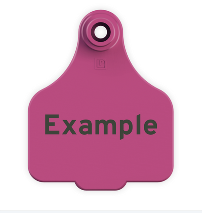 Medium Tag