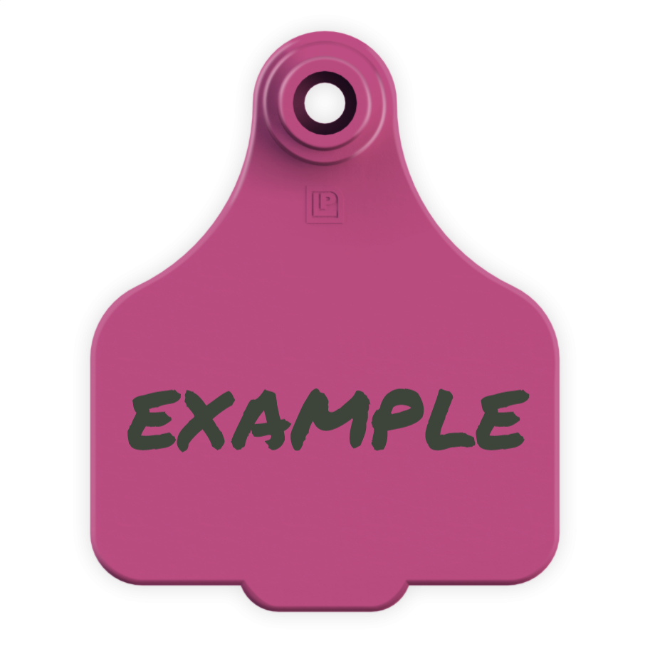 Medium Tag