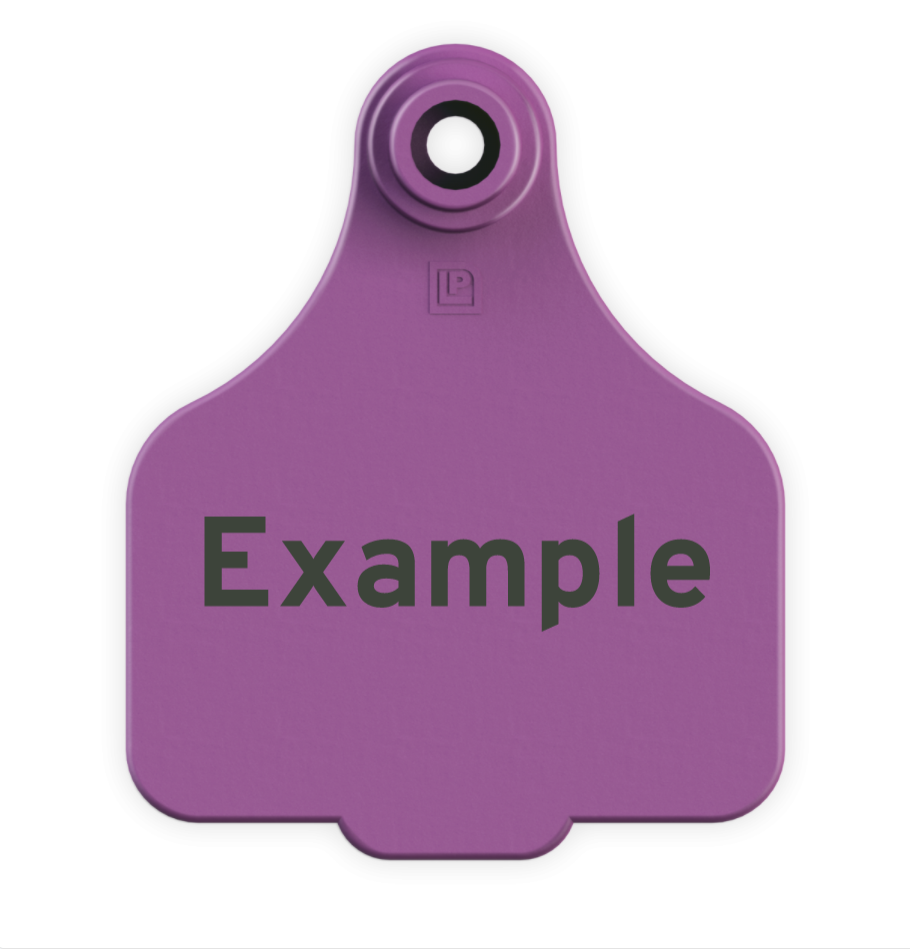 Medium Tag