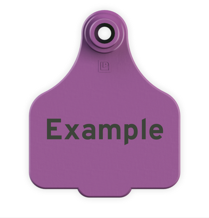 Medium Tag