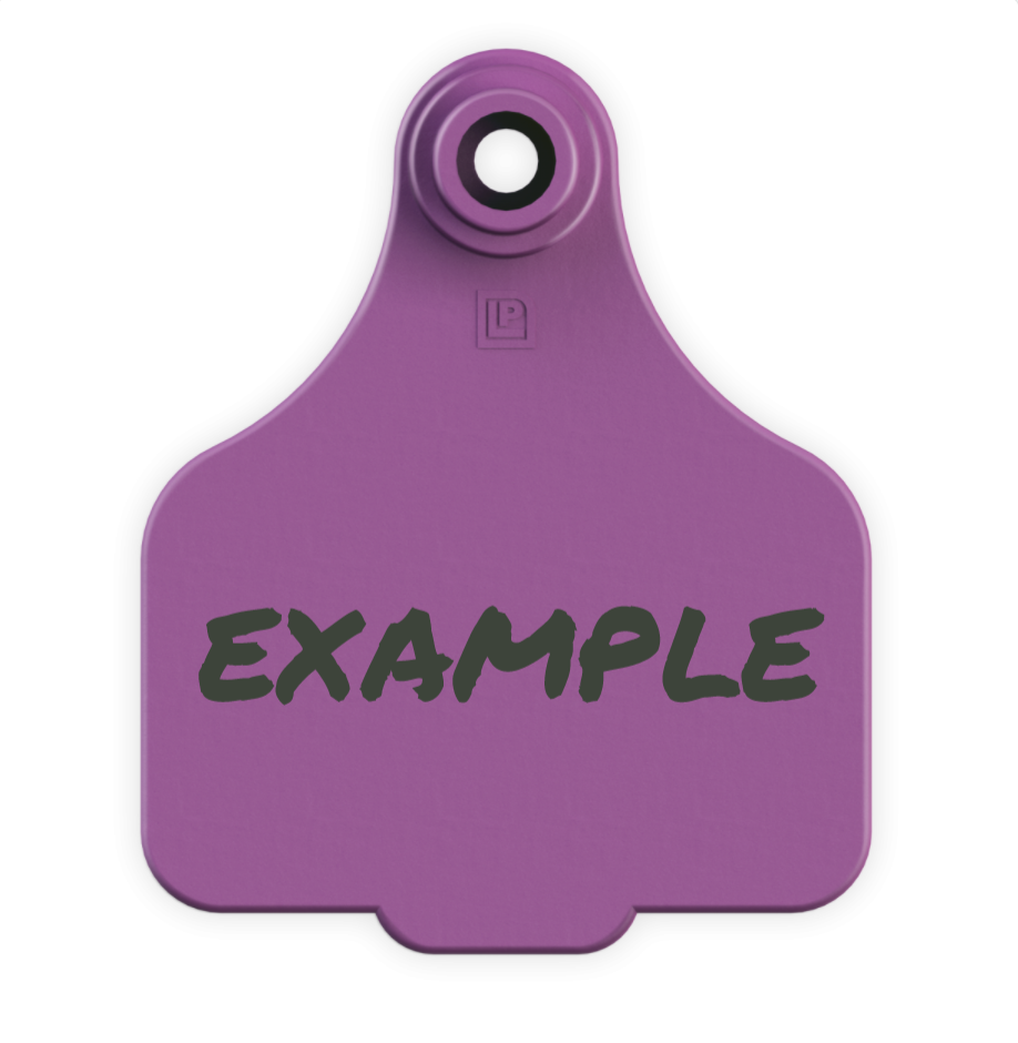 Medium Tag