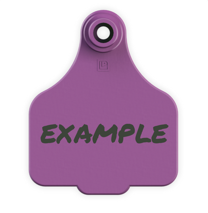 Medium Tag