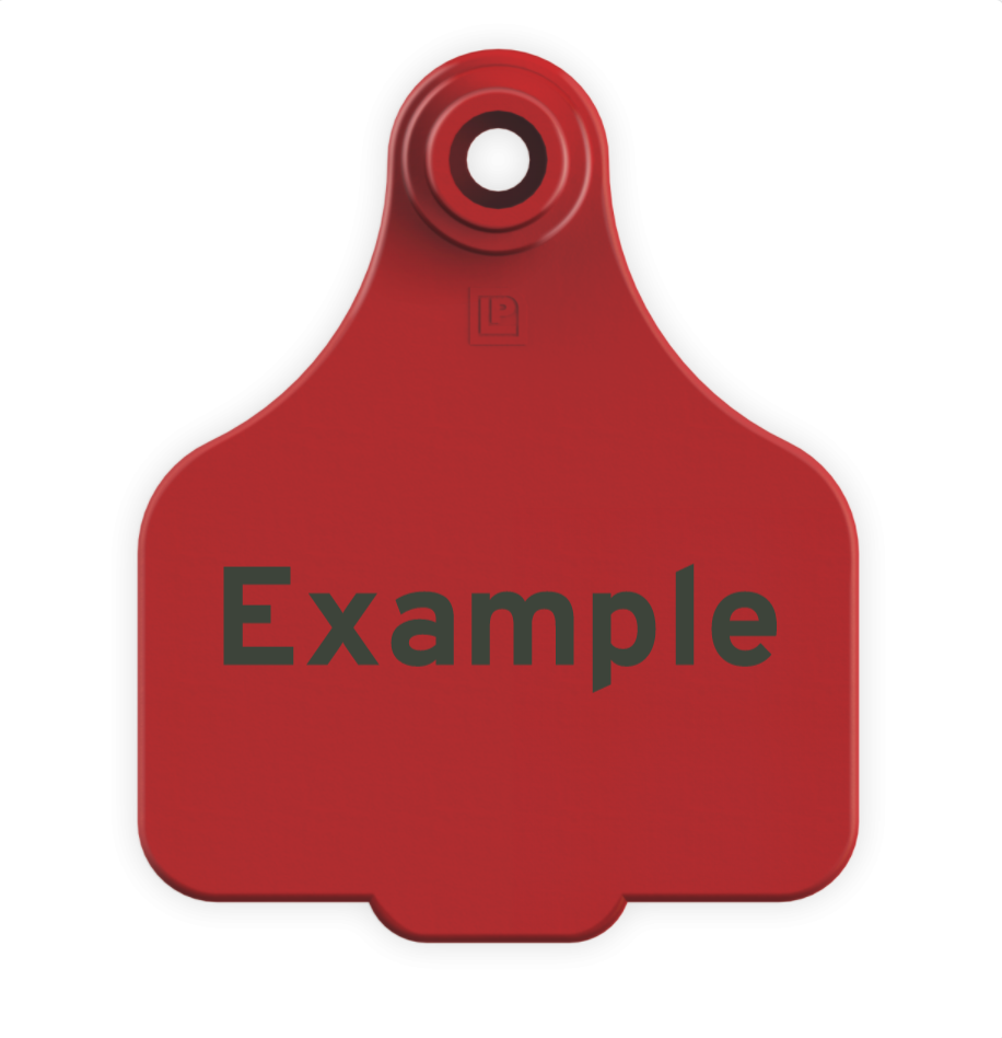 Medium Tag