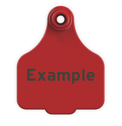 Medium Tag
