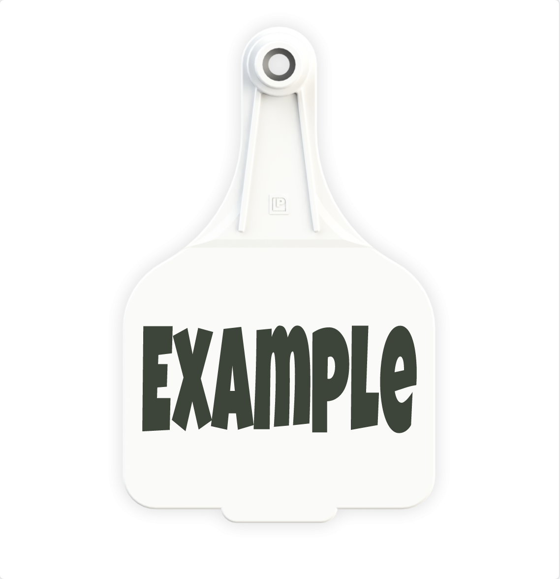 Extra Large Tag