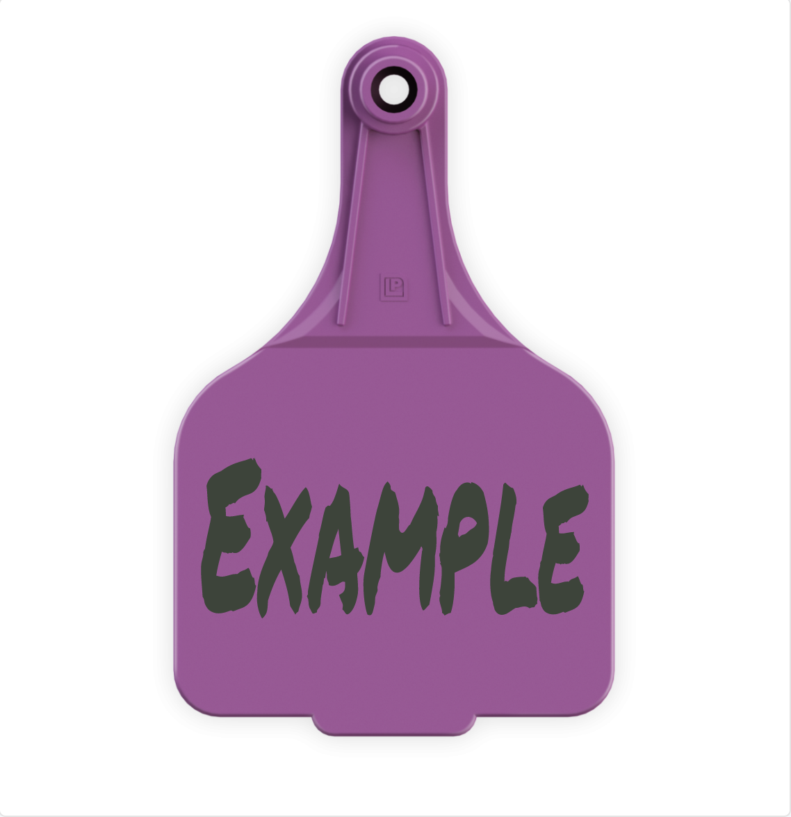 Extra Large Tag