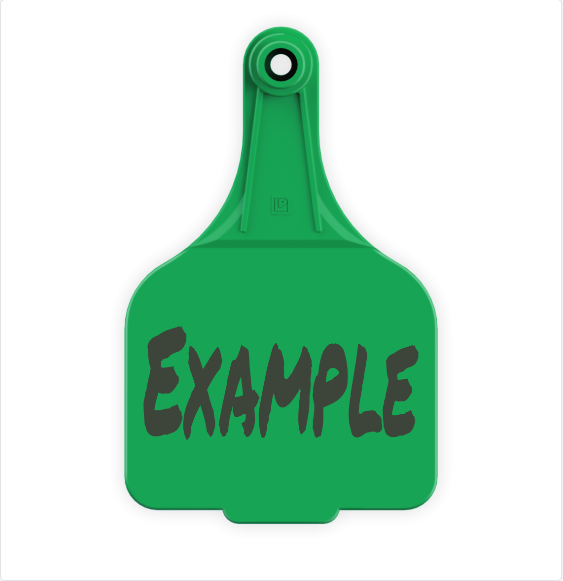Extra Large Tag