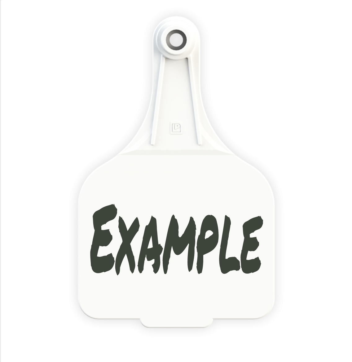 Extra Large Tag