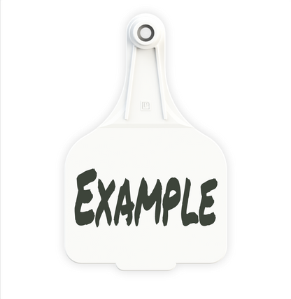 Extra Large Tag