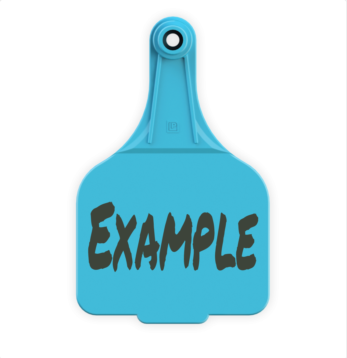 Extra Large Tag