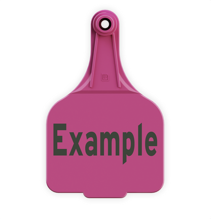 Extra Large Tag