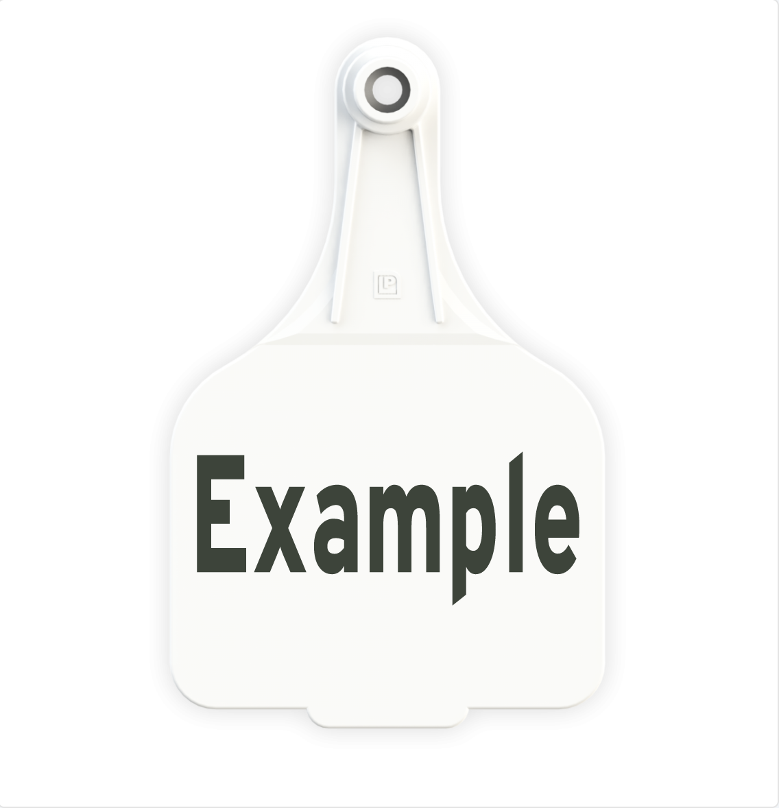 Extra Large Tag