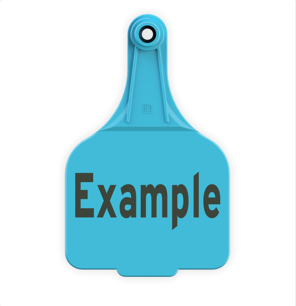 Extra Large Tag