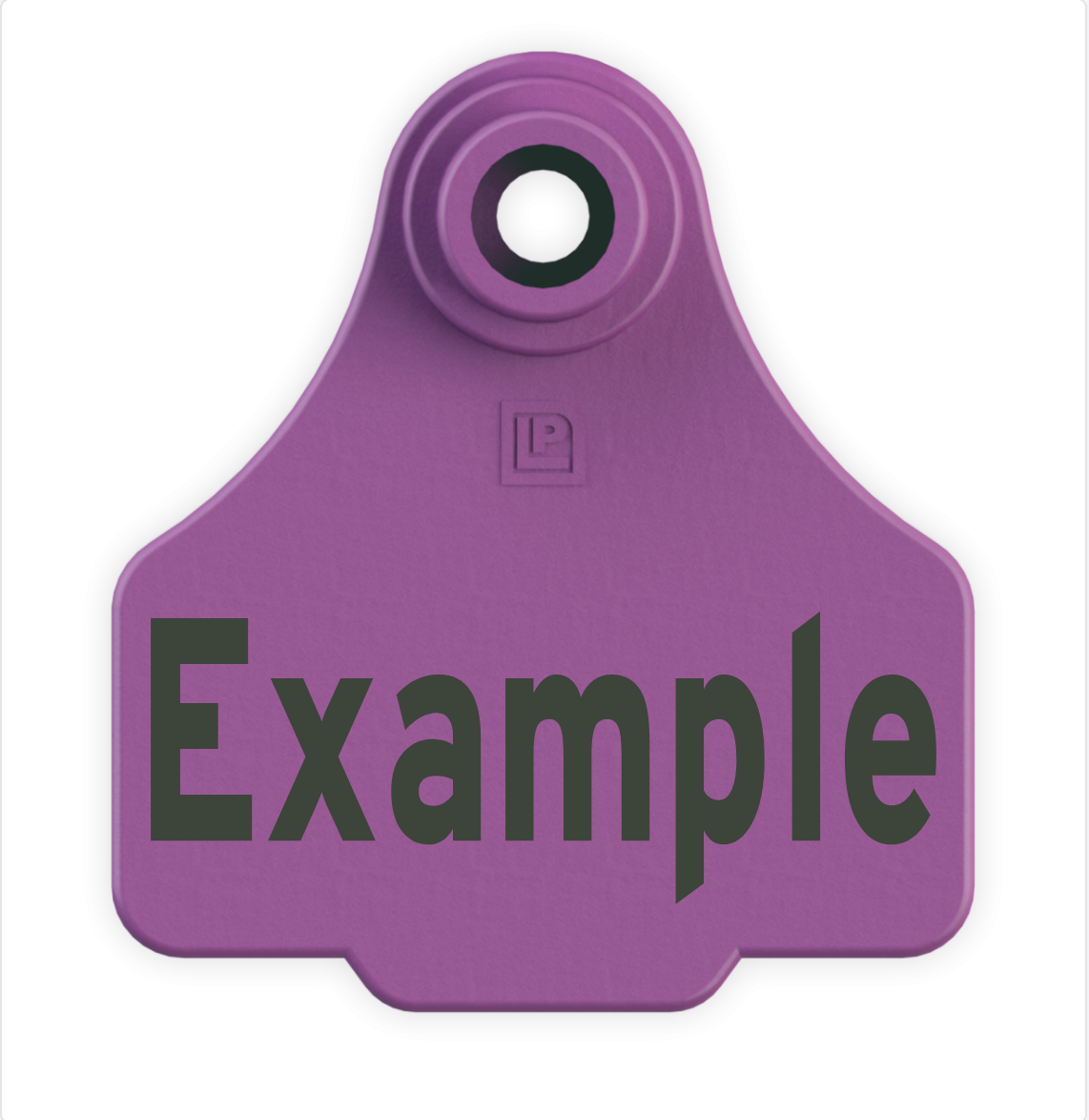 Small Tag