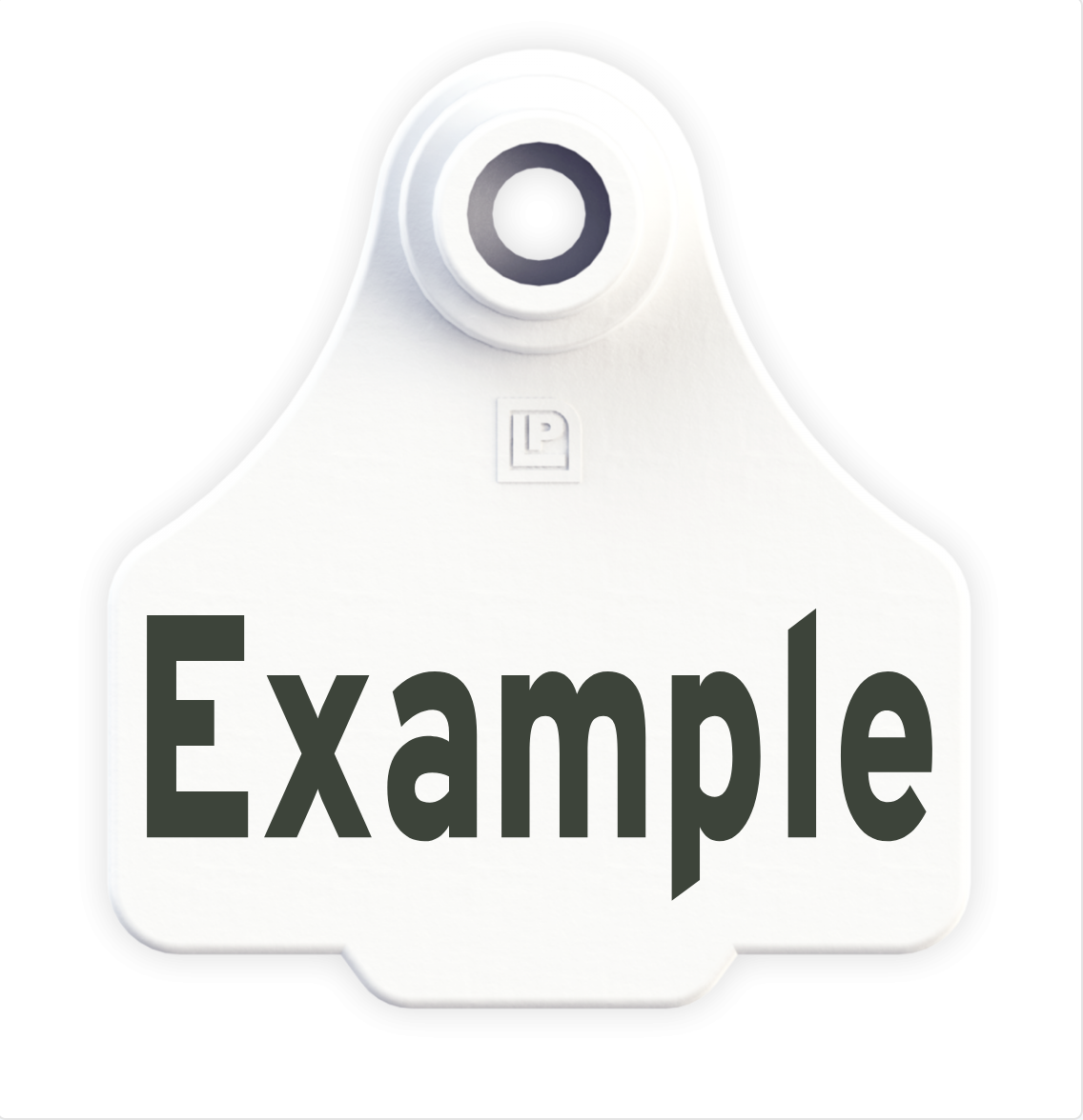 Small Tag