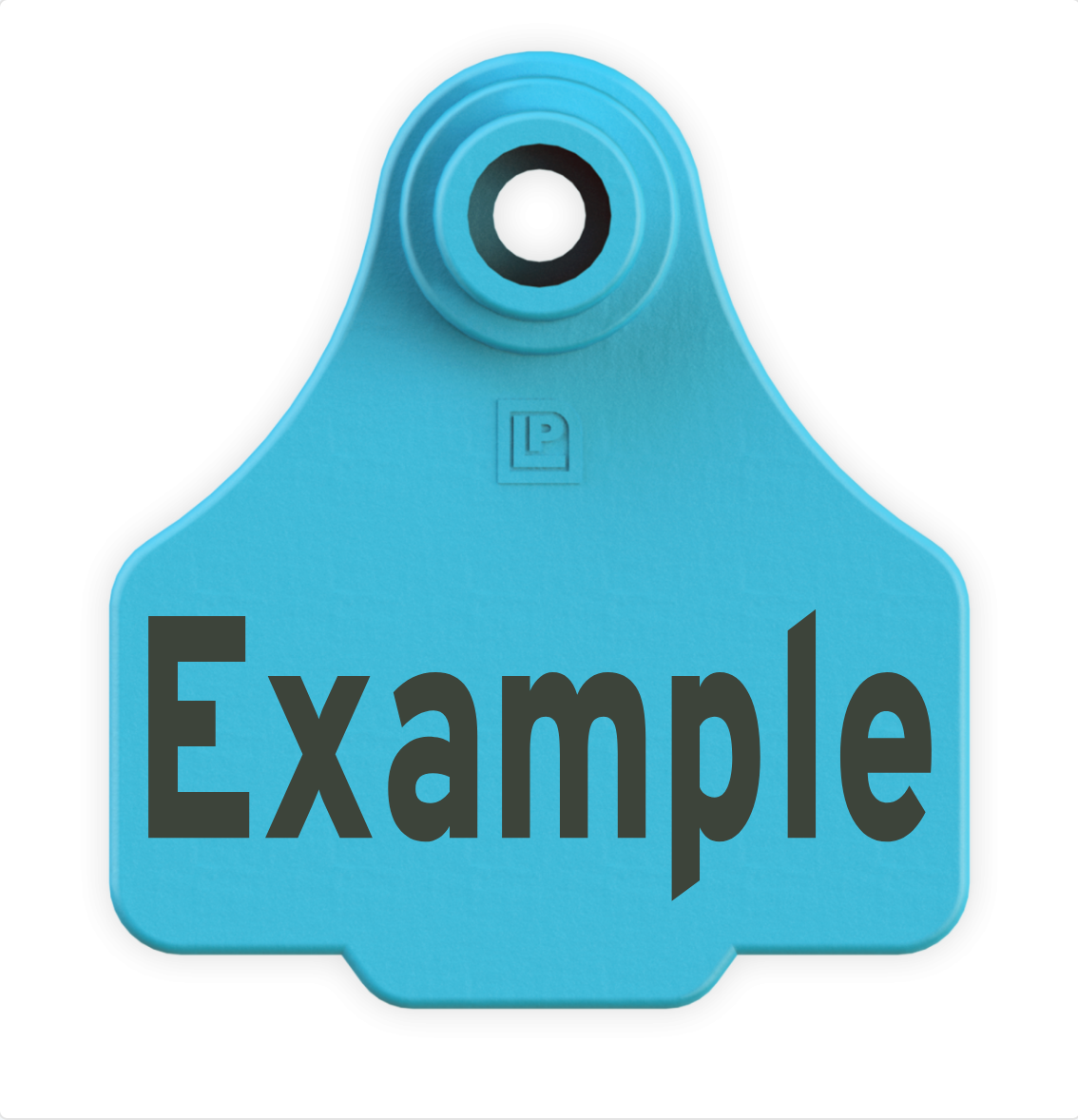 Small Tag