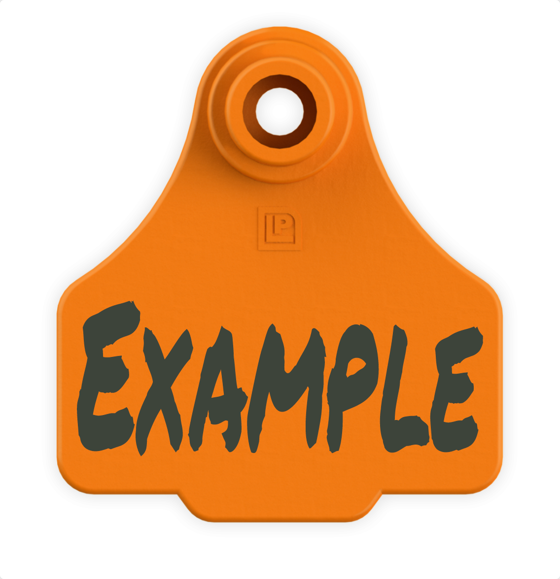 Small Tag