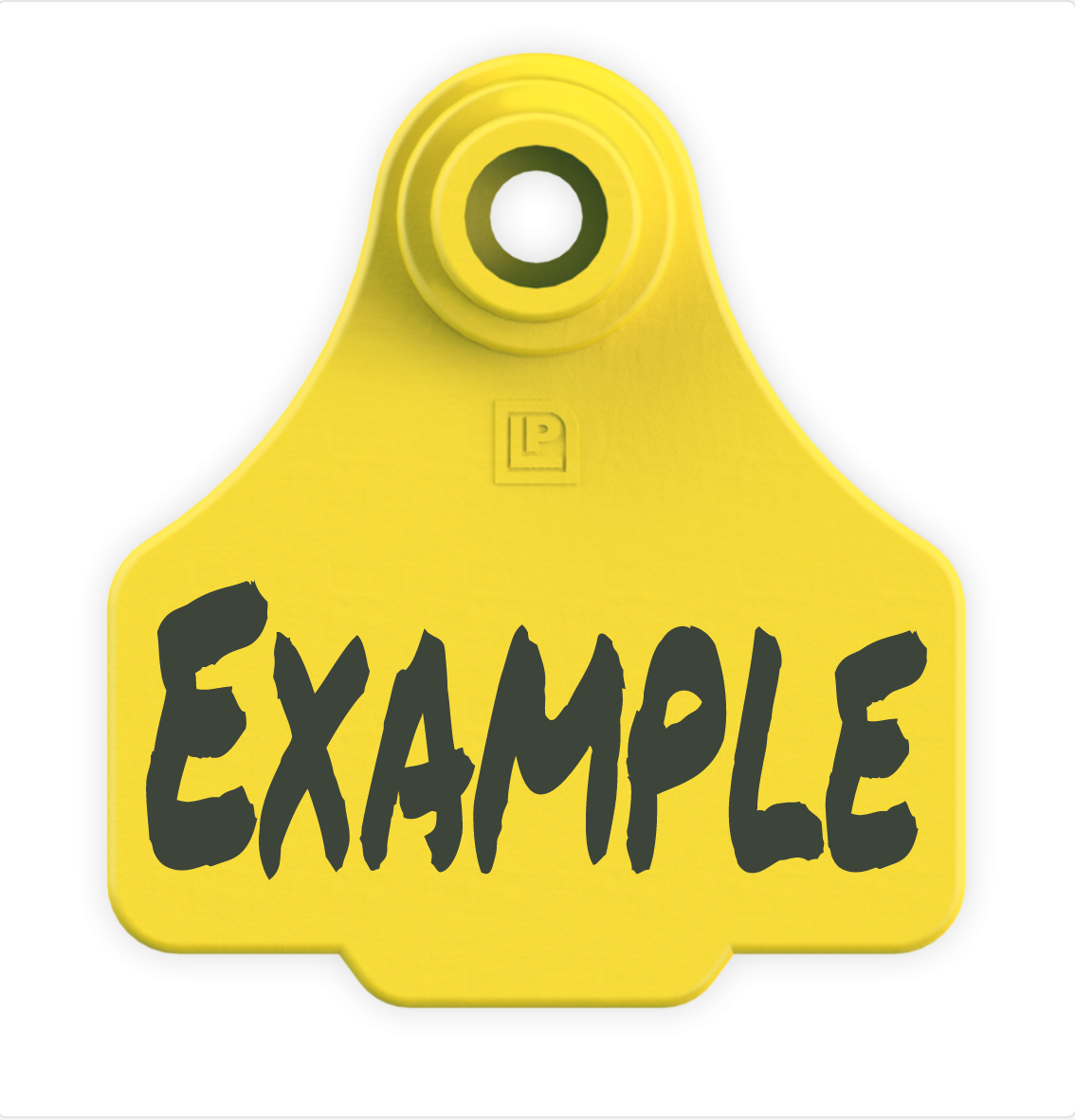 Small Tag