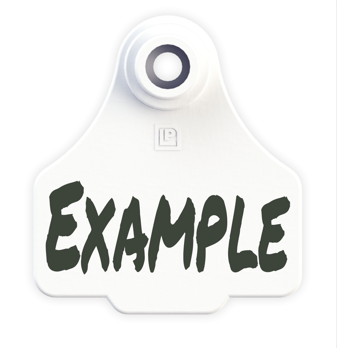 Small Tag