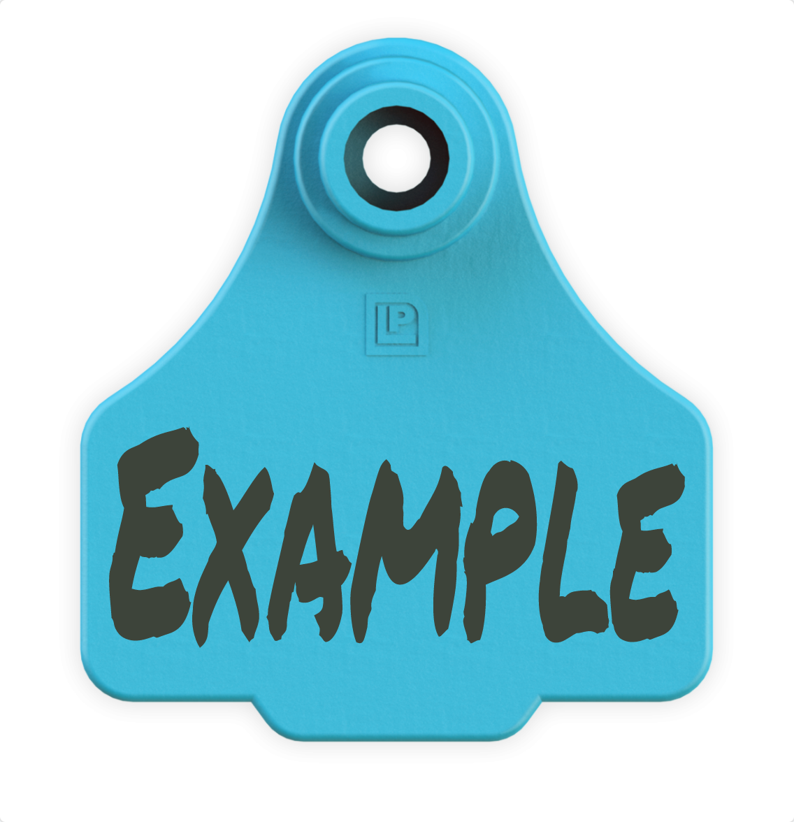 Small Tag