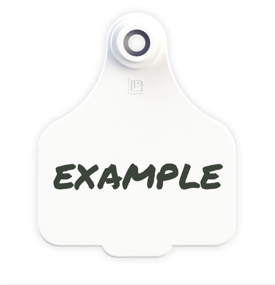 Medium Tag