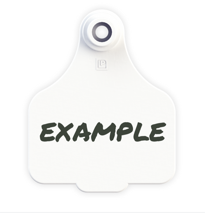 Medium Tag