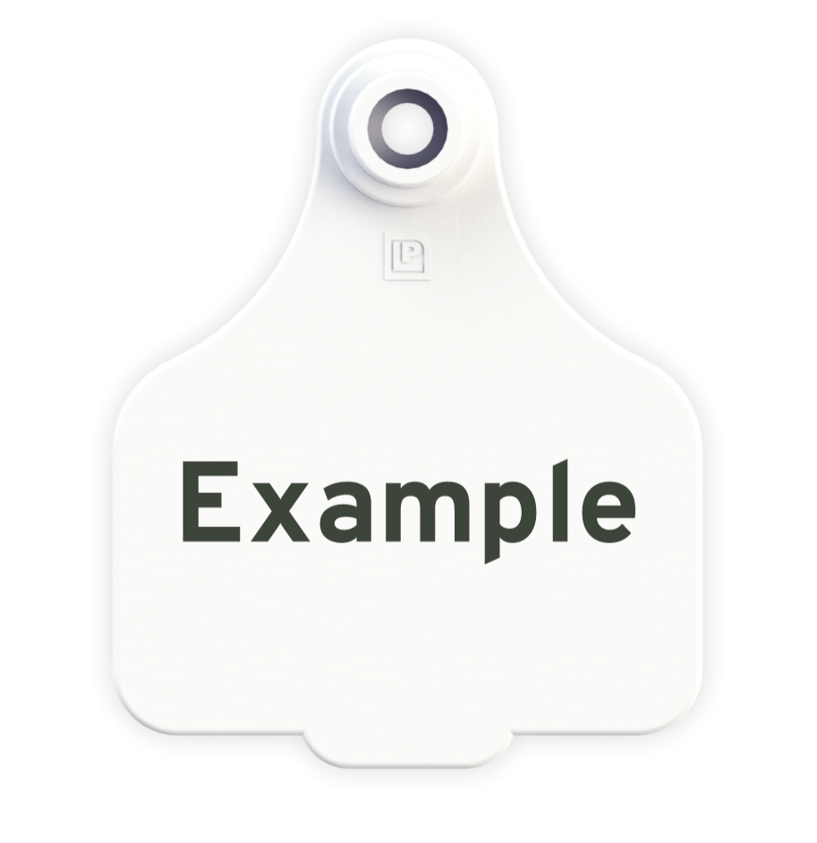 Medium Tag