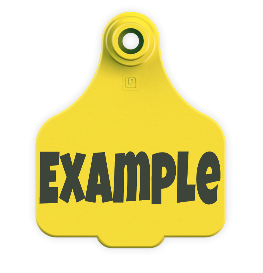 Medium Tag