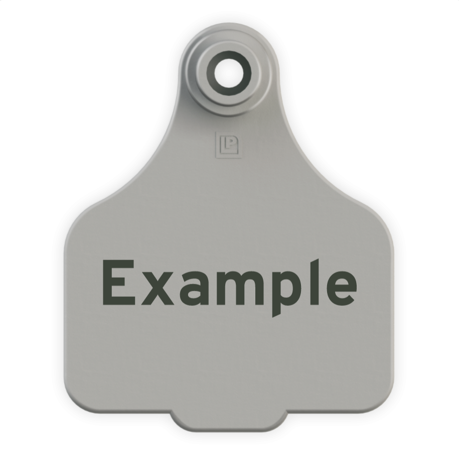 Medium Tag