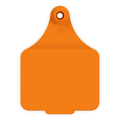 Large Tag