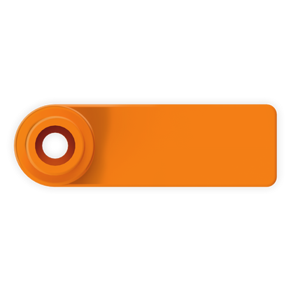 Mini Tag